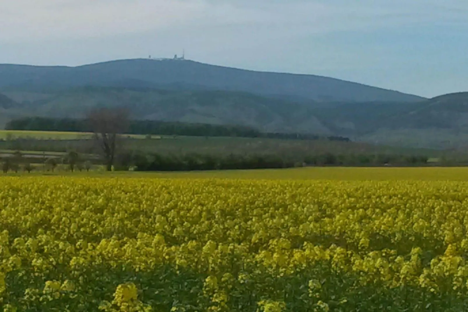 Meineckes Harzidyll Am Eichenberg-Zones d'été à 1 km