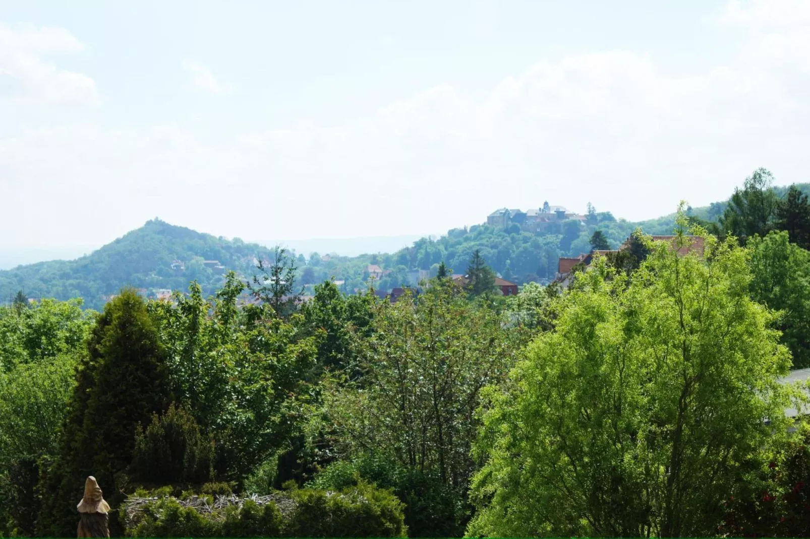 Meineckes Harzidyll Am Eichenberg II-View summer