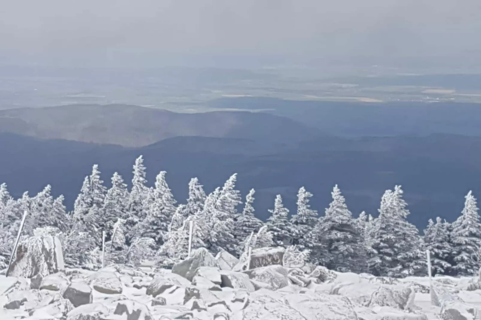 Meineckes Harzidyll Am Eichenberg II-Area winter 5km