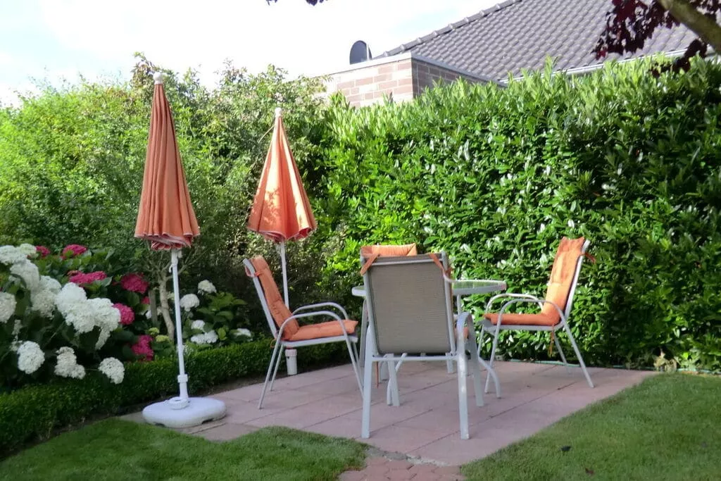 45215-Gardens summer