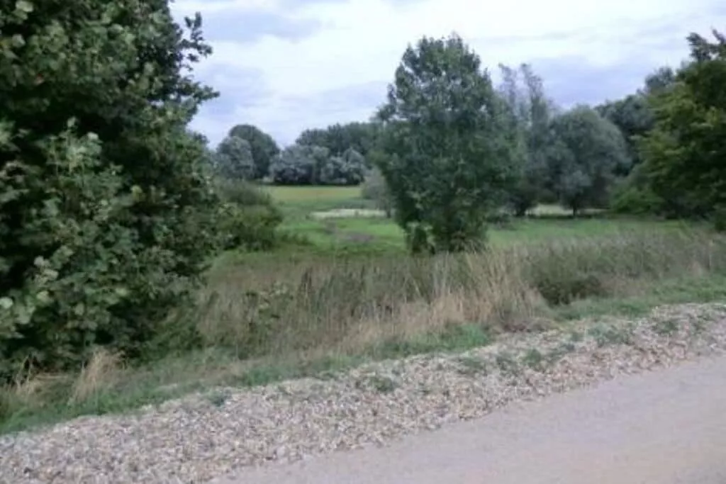 45215-Areas summer 5km