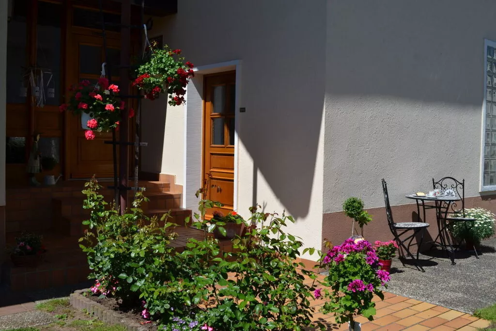 255403-Gardens summer
