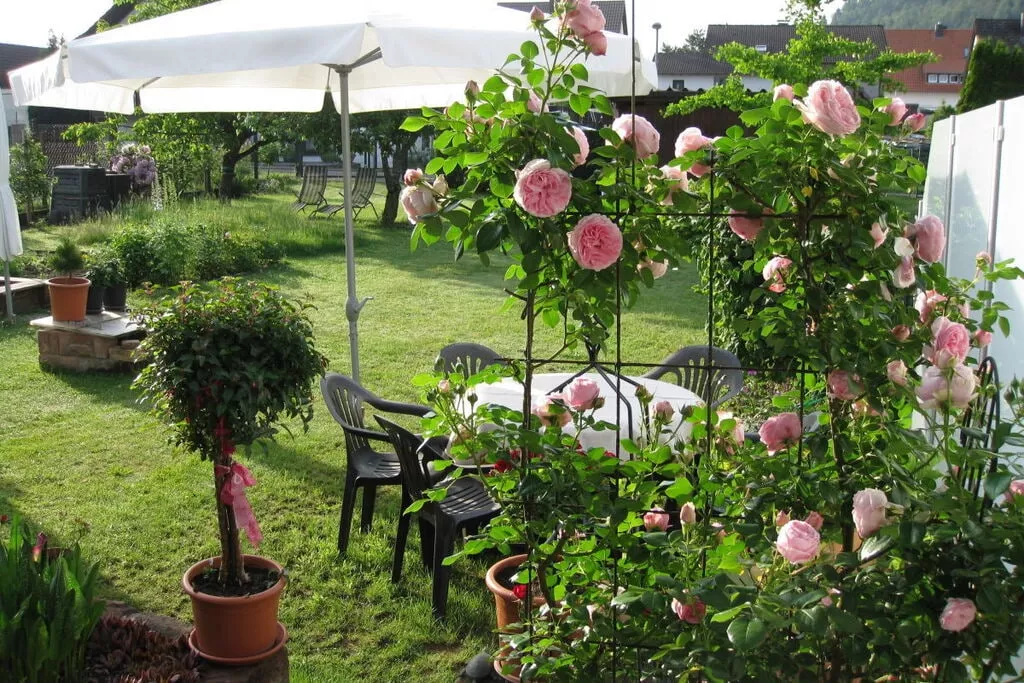 255403-Gardens summer