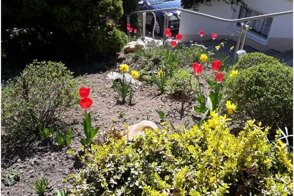 7603-Gardens summer