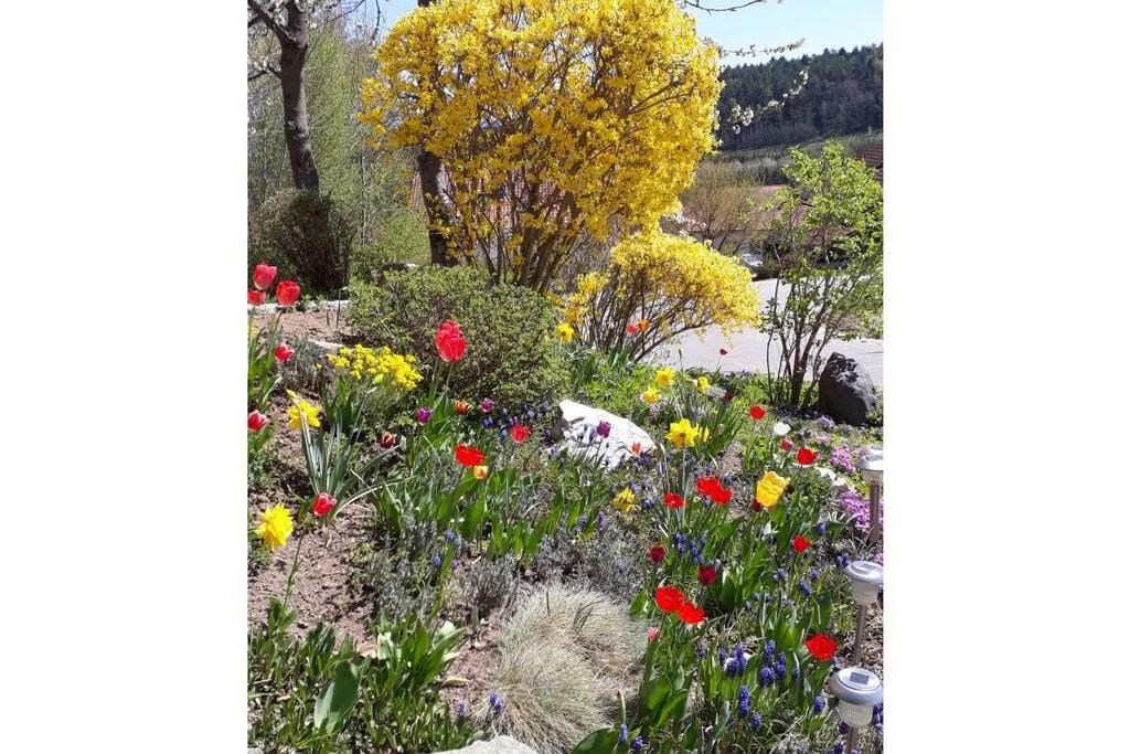 7603-Gardens summer