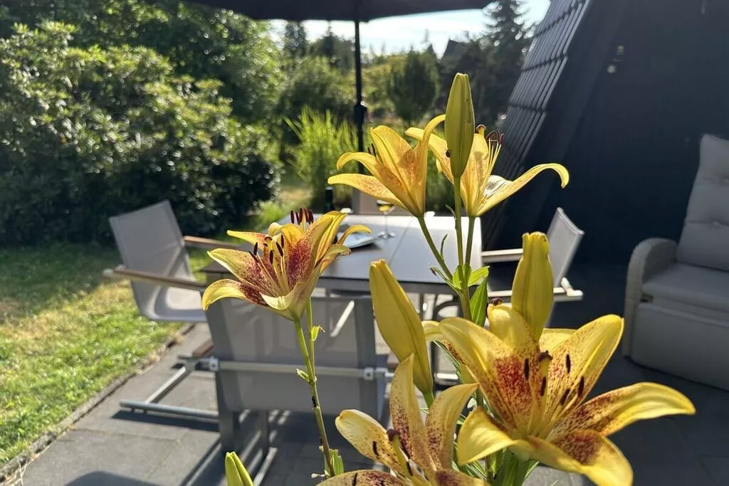 475205-Gardens summer