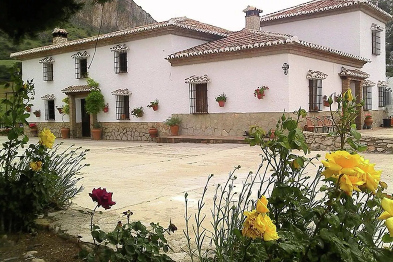 Cortijo Los Alazores-Gardens summer
