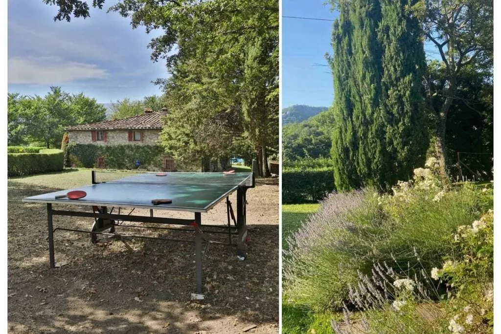 485663-Jardin d'été