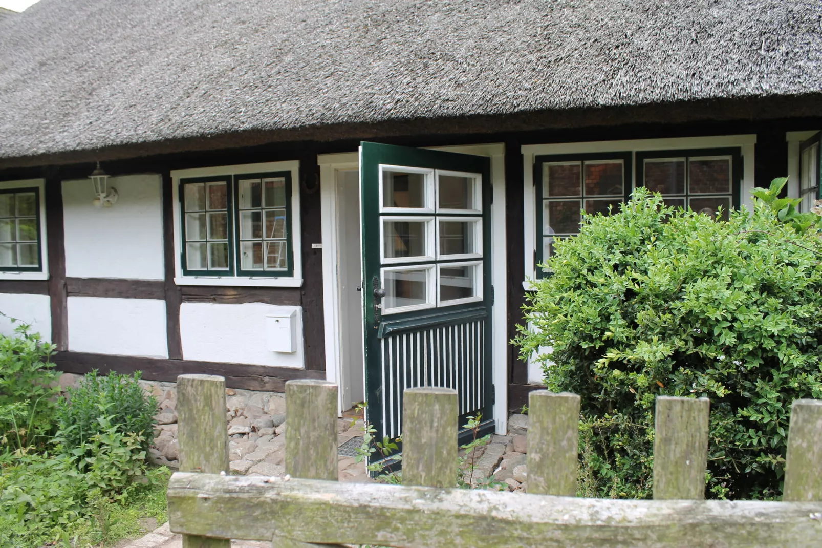 Reetdach 4 Linden-Exterior summer