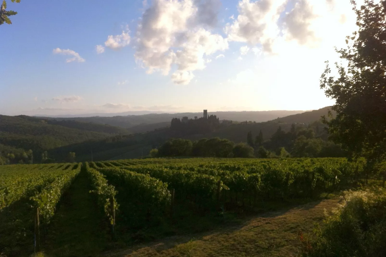 Il Piccolo Casale-Areas summer 1km