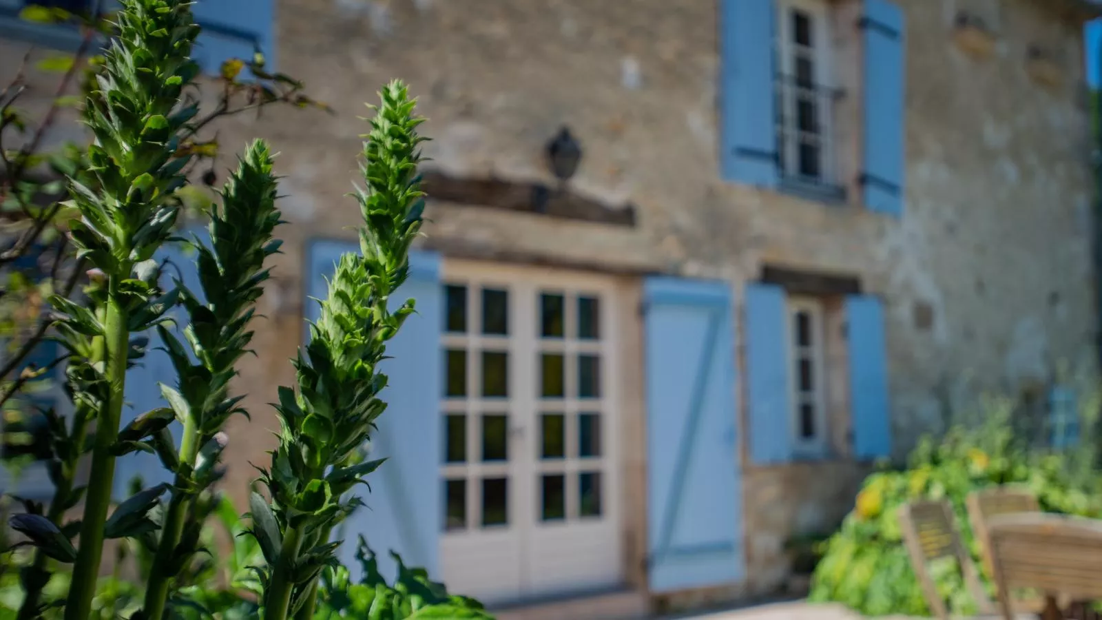 Gite le Nourrissat-Exterior summer