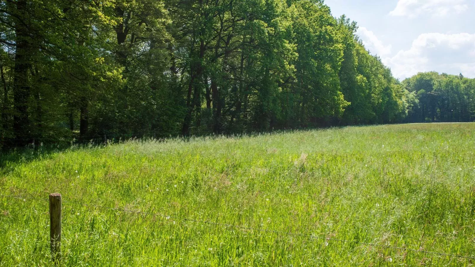 De Fazant-Areas summer 5km