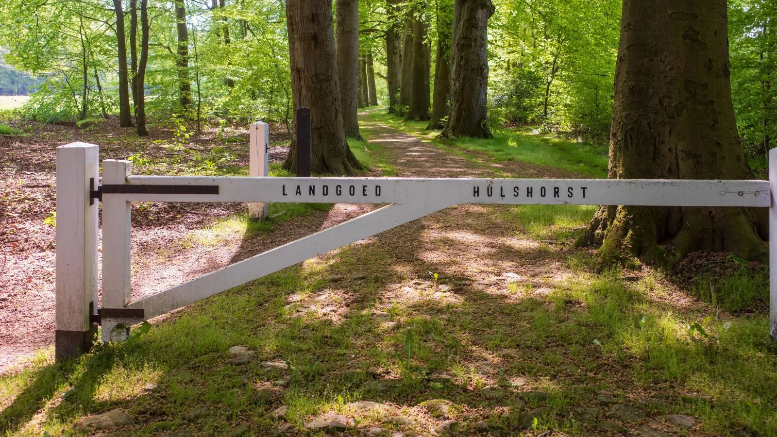 De Fazant-Areas summer 1km