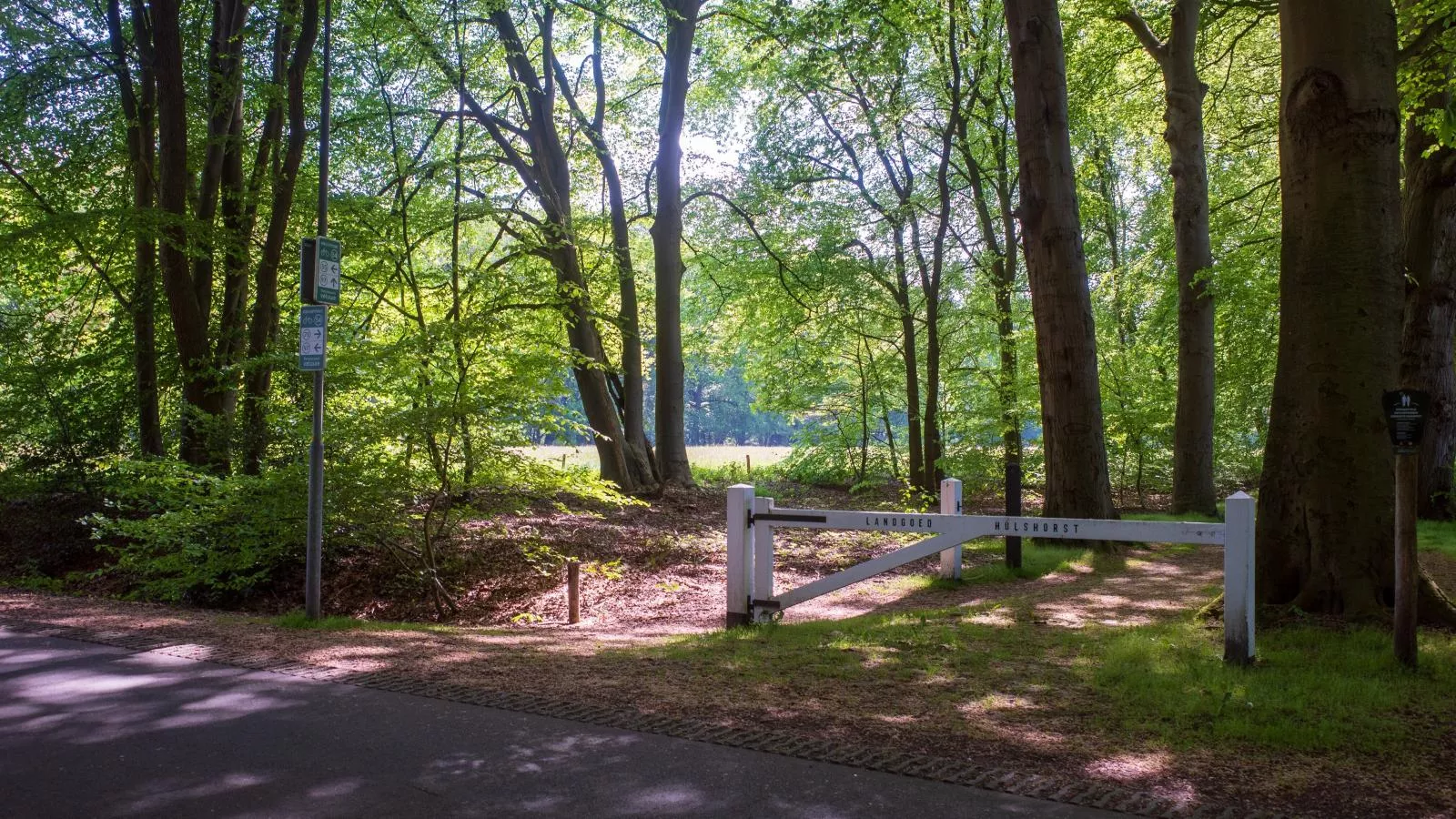 Merel-Areas summer 1km