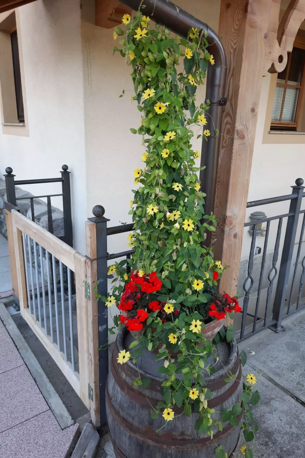 Althaus 1-Outside