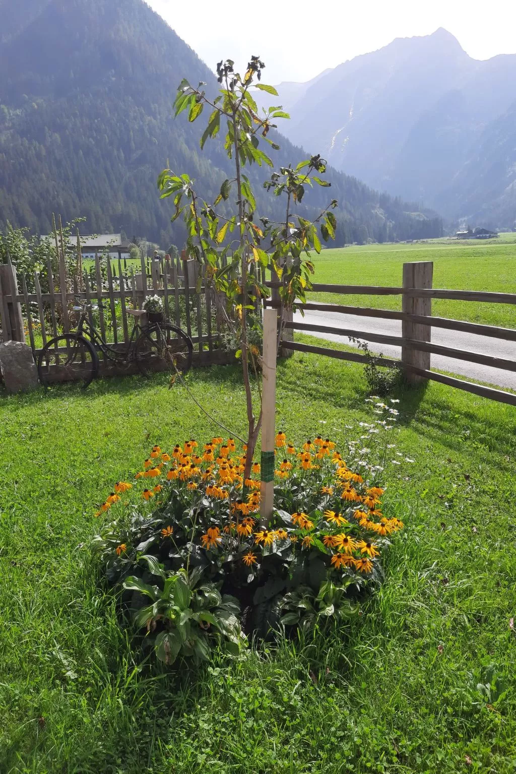 Althaus 1-Outside