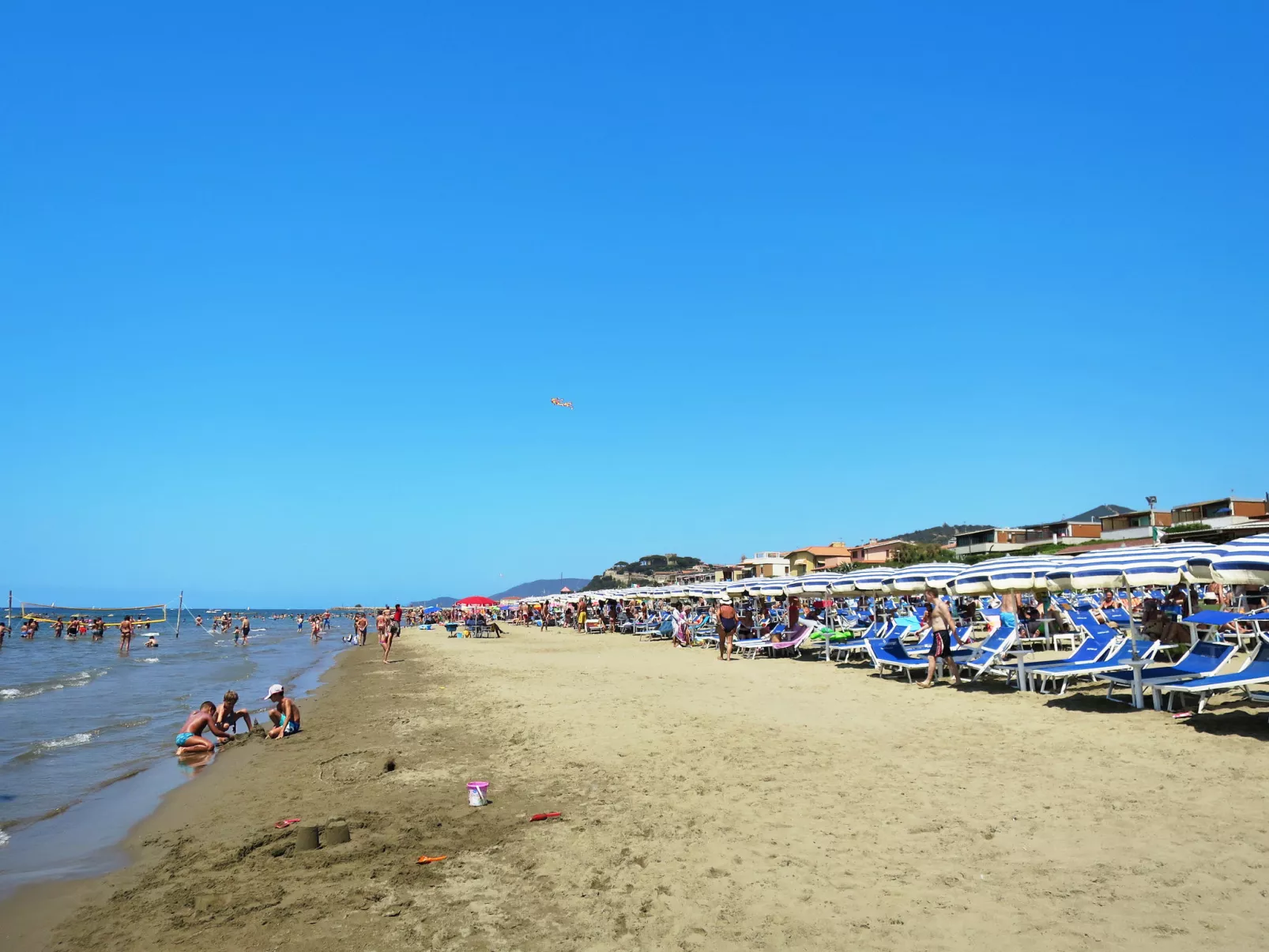 Elena-Area