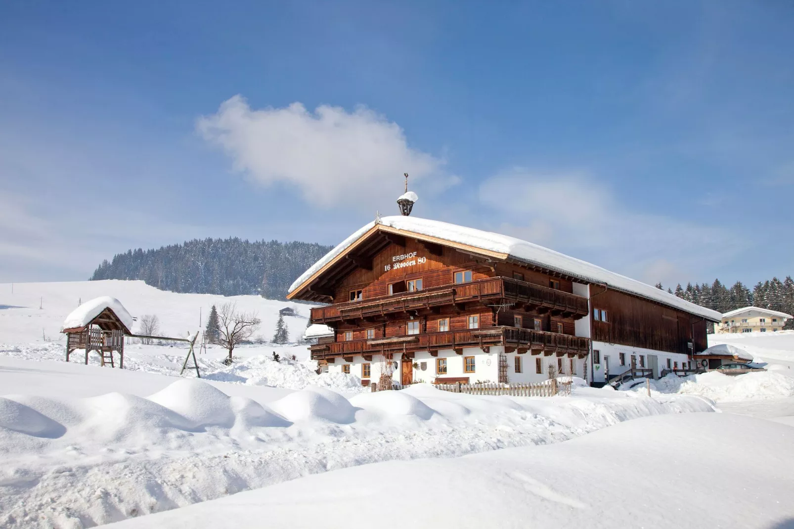 Alpenrose-Exterior winter