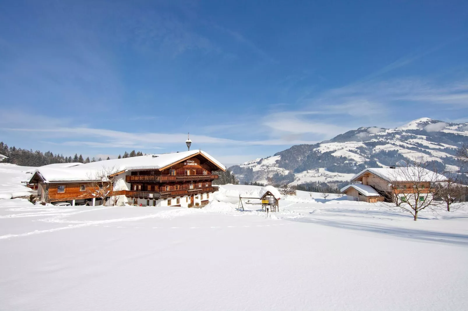 Hohe Salve-Garden winter
