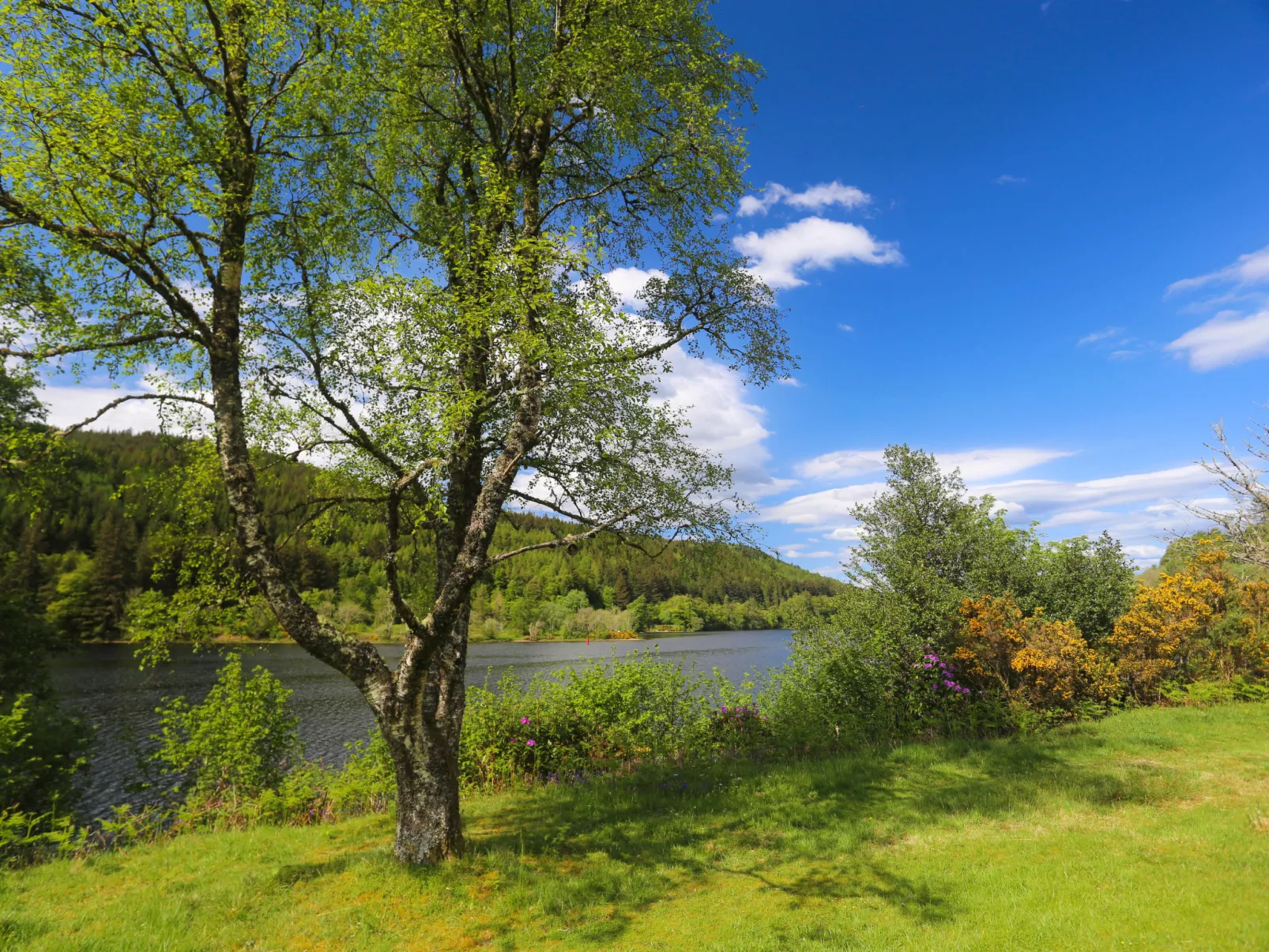 Ardlui Lodge-Outside