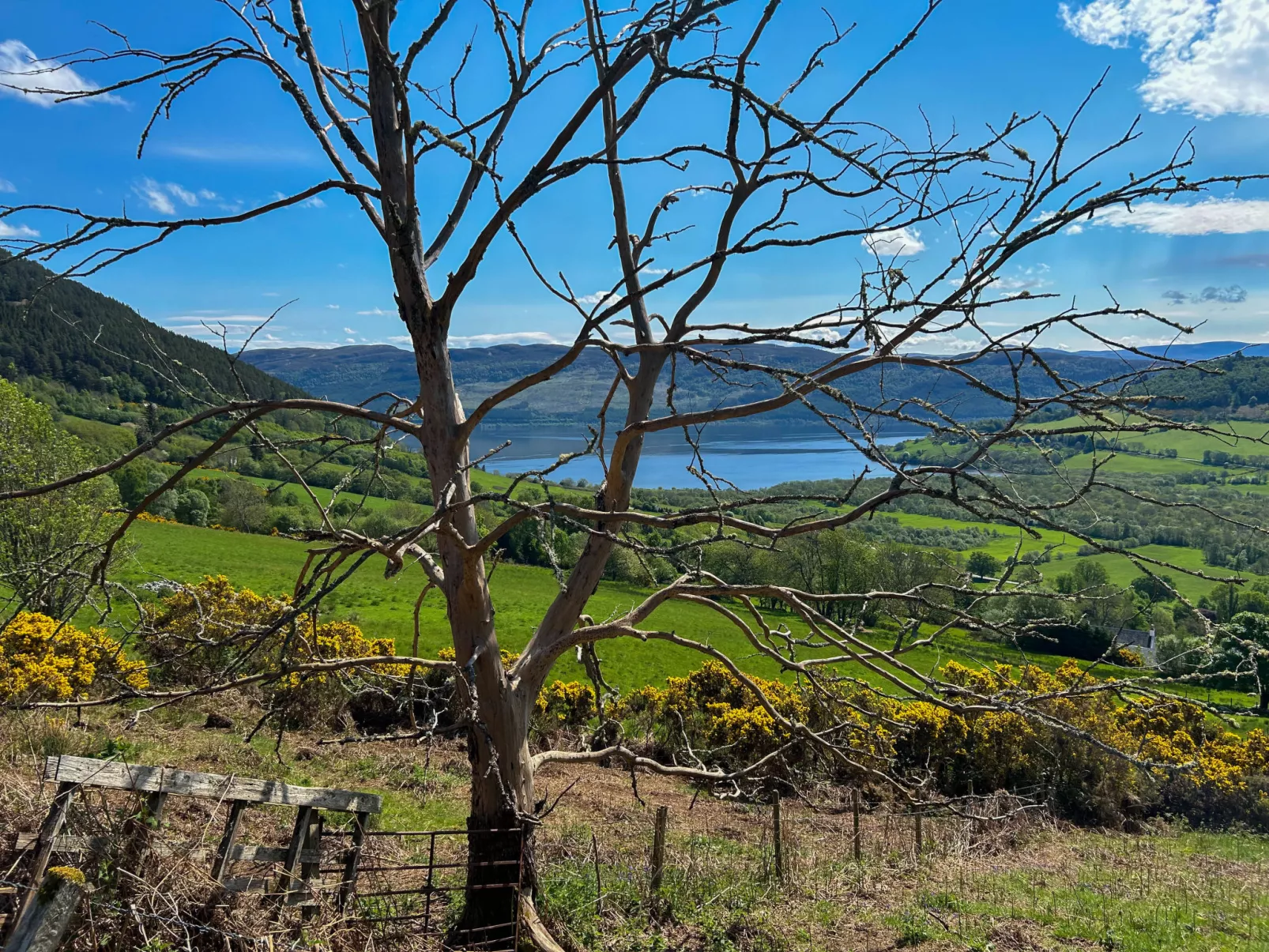 East Balcraggan-Outside