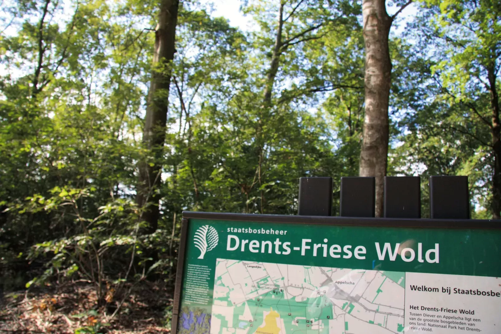 Het Drentse Wold 2-Atmosphere