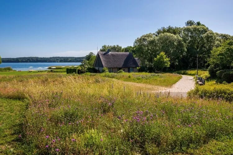 BEECH Resort am Plauer See - 4 Personen-Areas summer 1km