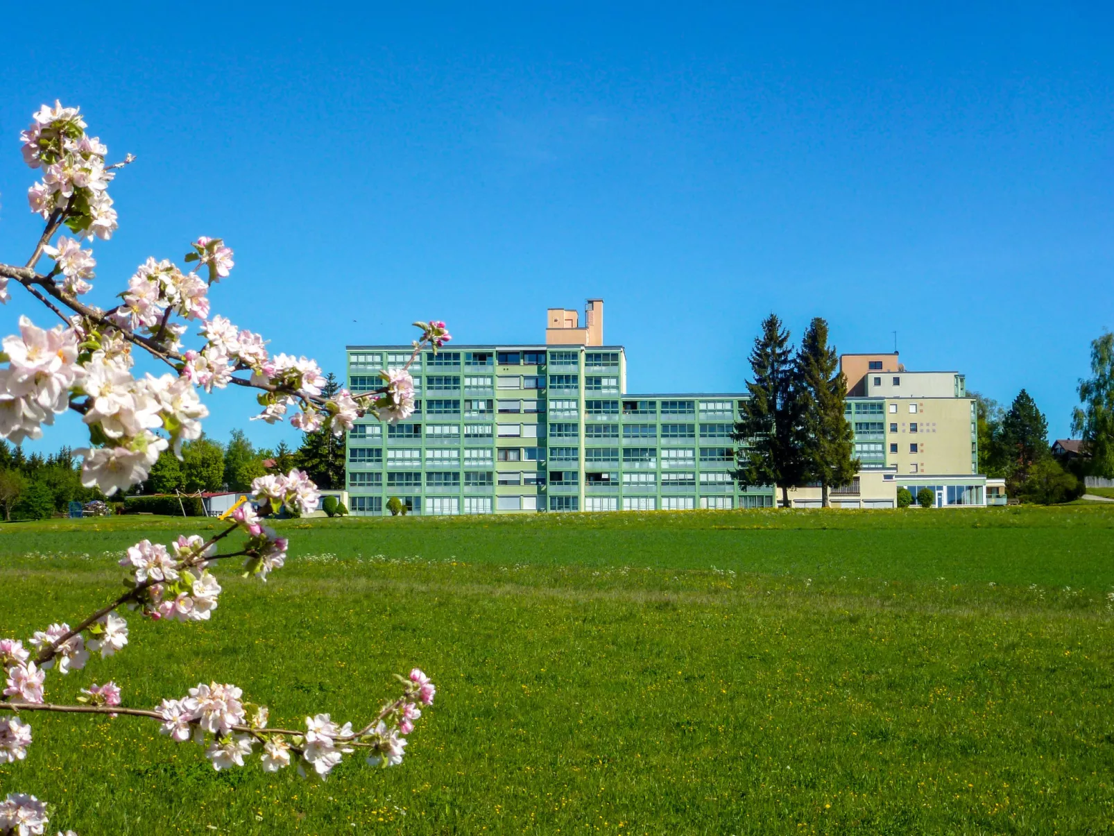 Löwenzahn (F 95)-Outside