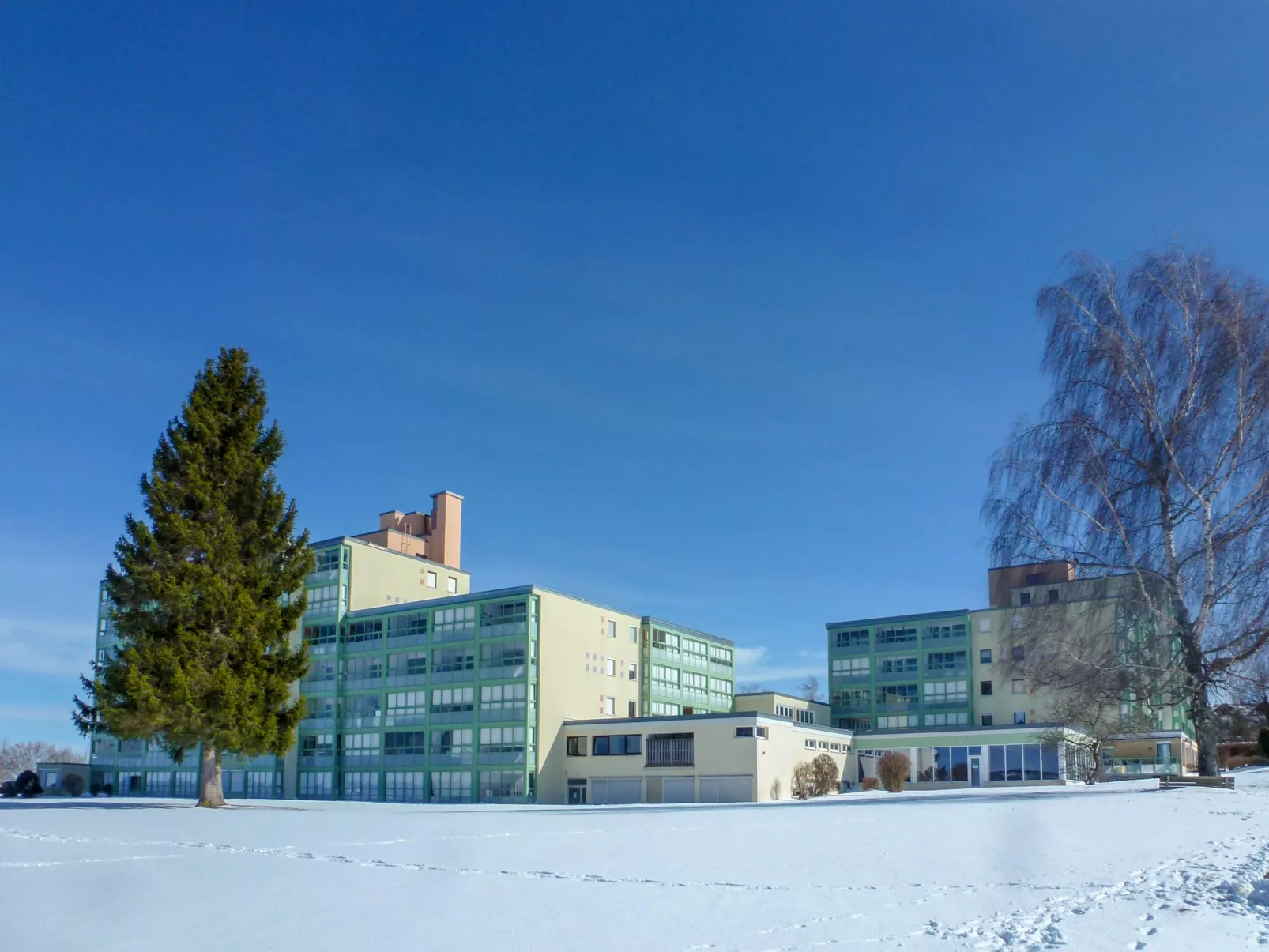 Löwenzahn (F 95)-Outside