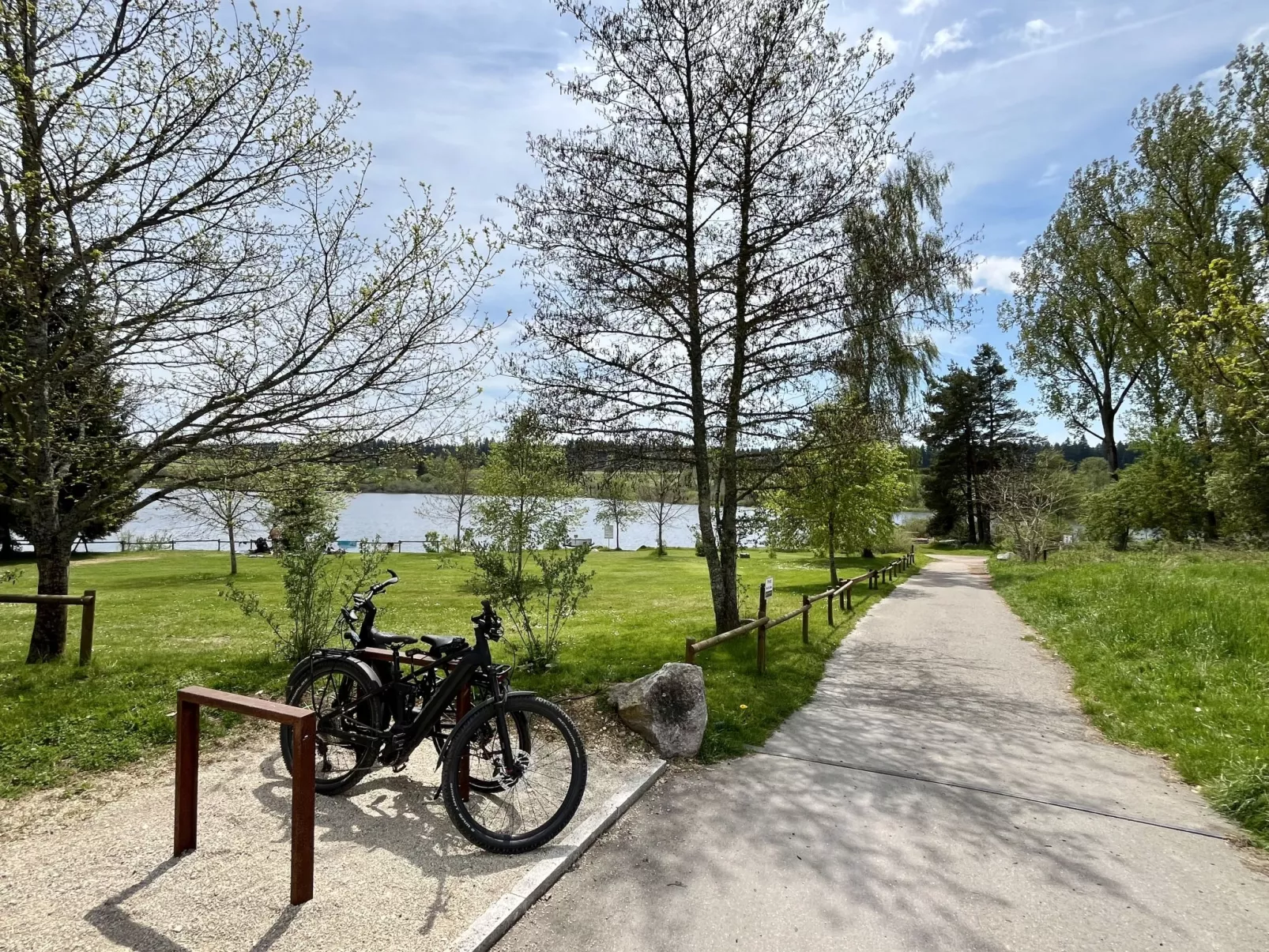 Löwenzahn (F 95)-Area