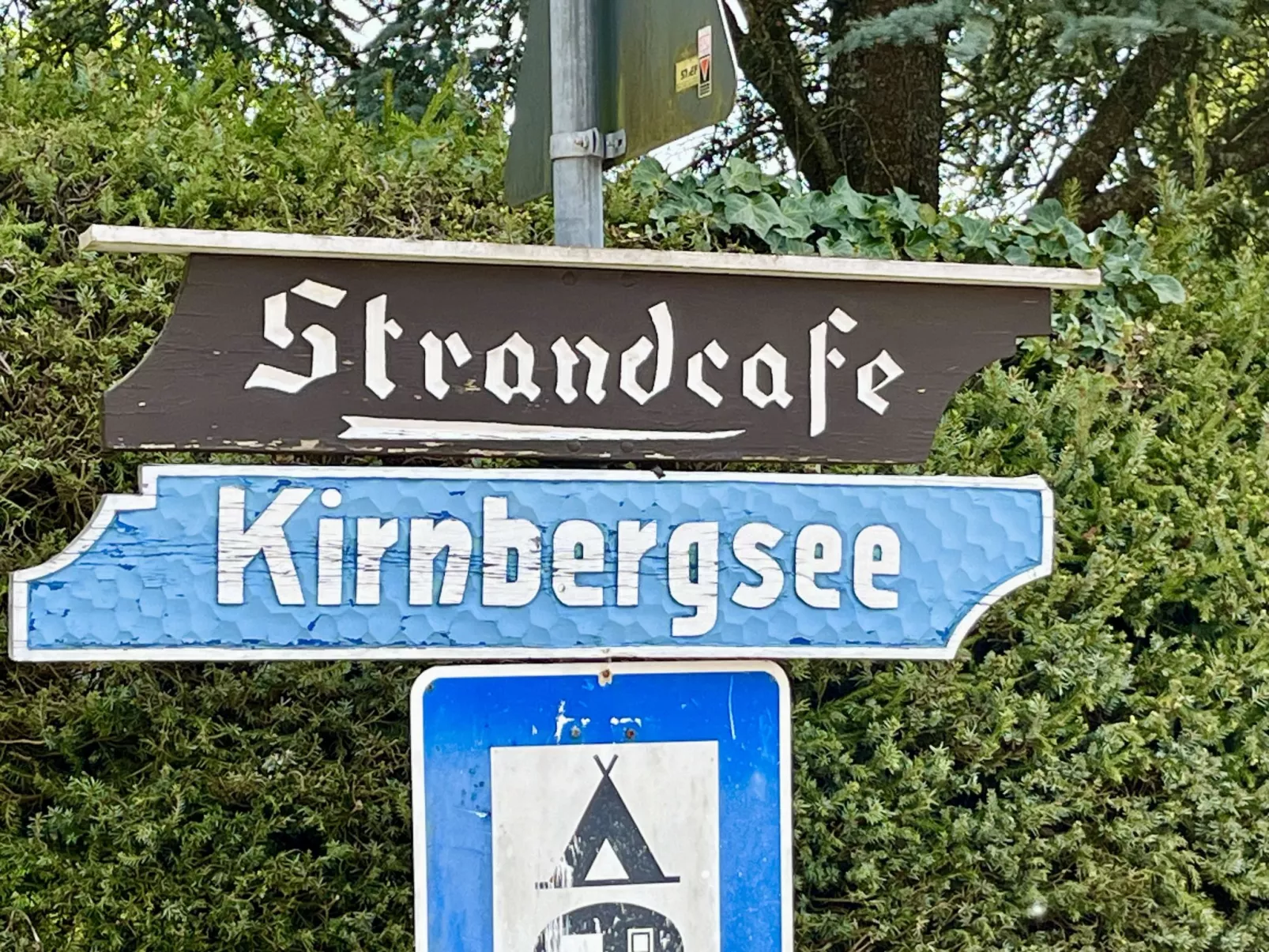 Löwenzahn (F 95)-Area