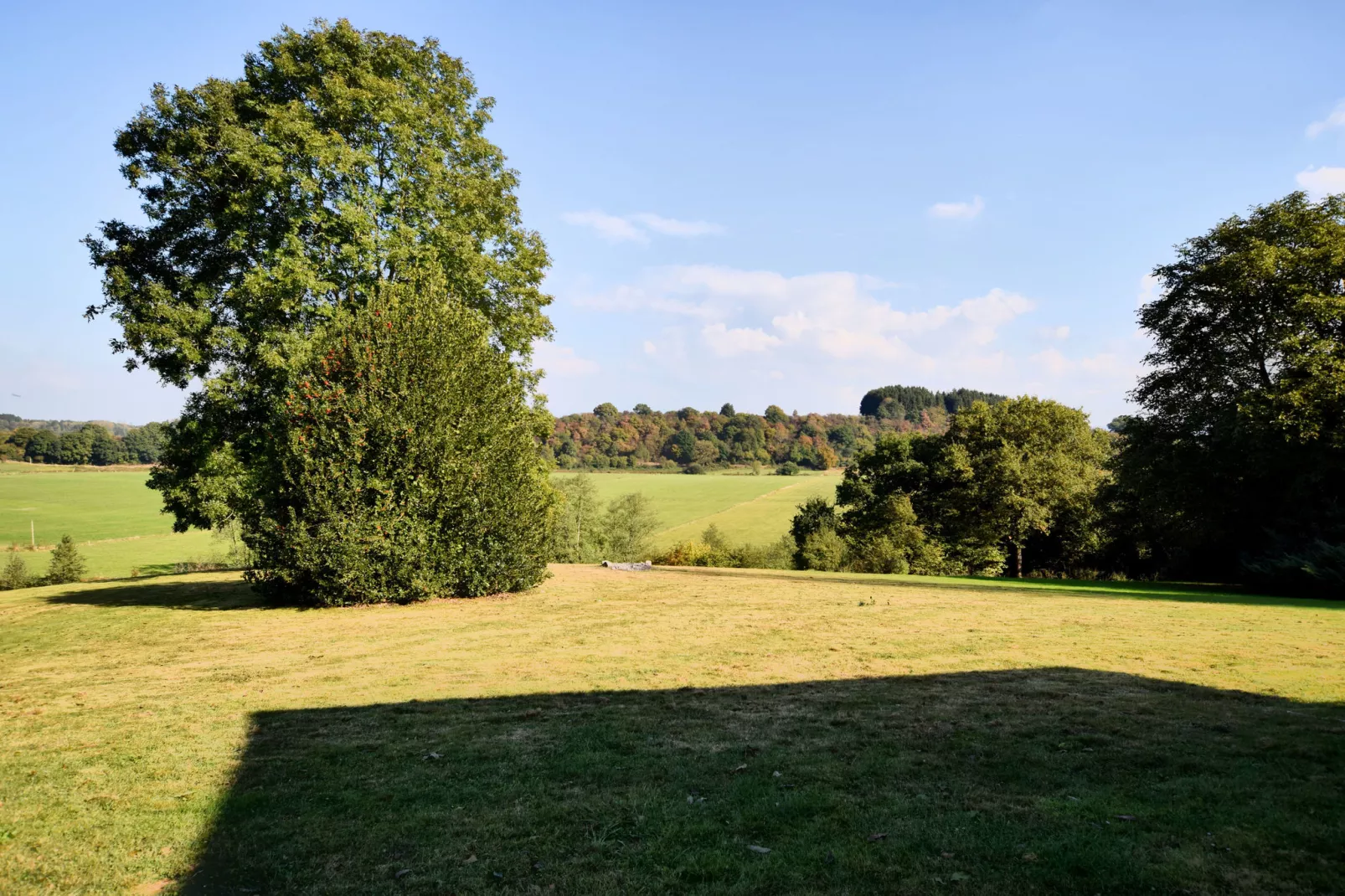 La Vue Phénoménale-Gardens summer