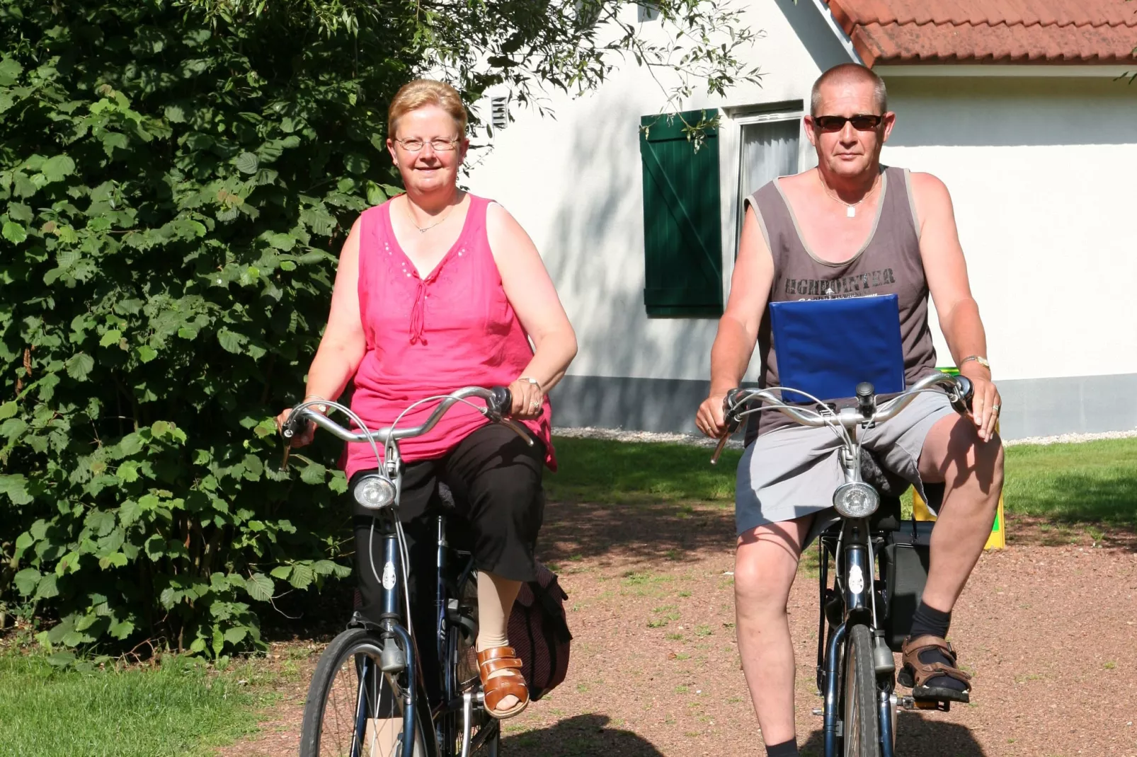 Het Drentse Wold 4-Areas summer 1km