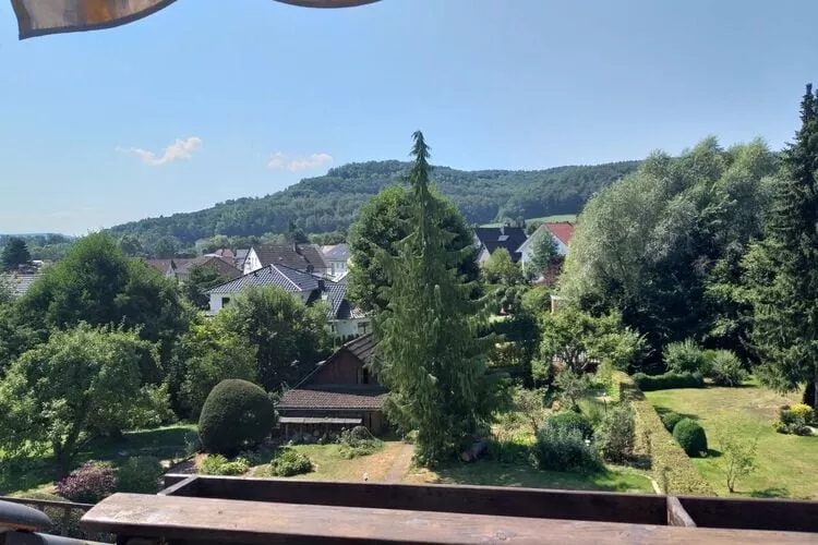 310896-View