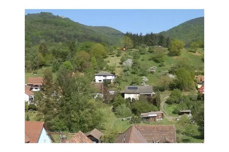 298871-Terrace