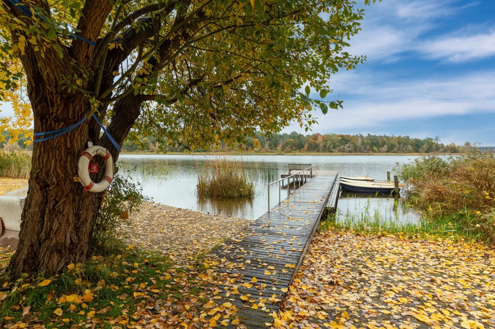 Hundefreundliches Ferienhaus am See MIT Whirlpool-Areas summer 1km