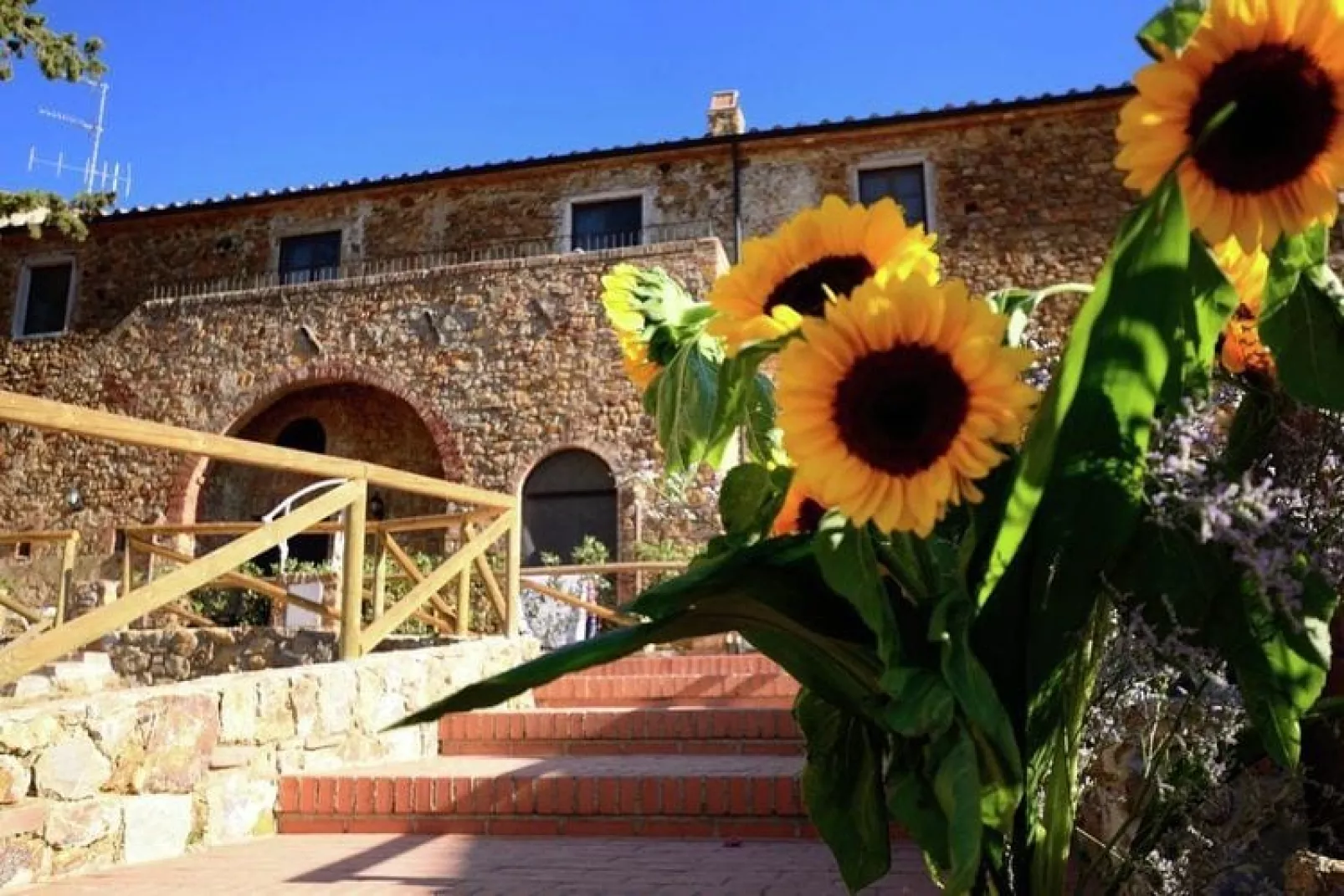 Armonia-Exterior summer