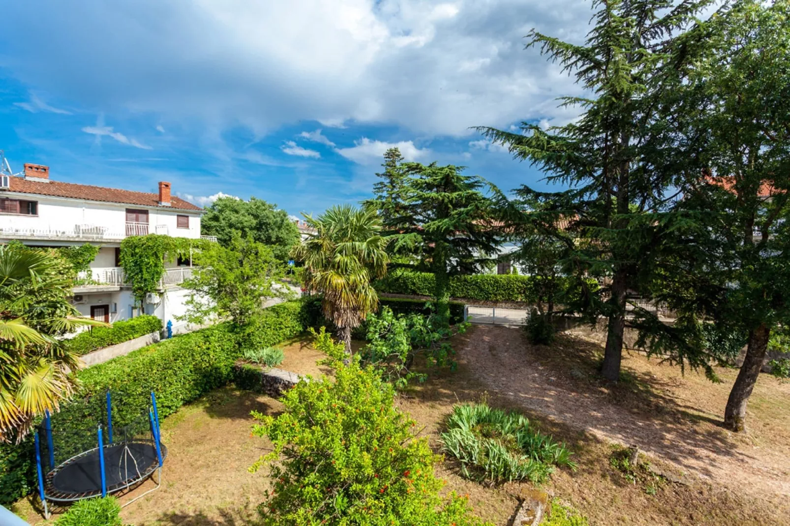Apartment Antonija-Gardens summer
