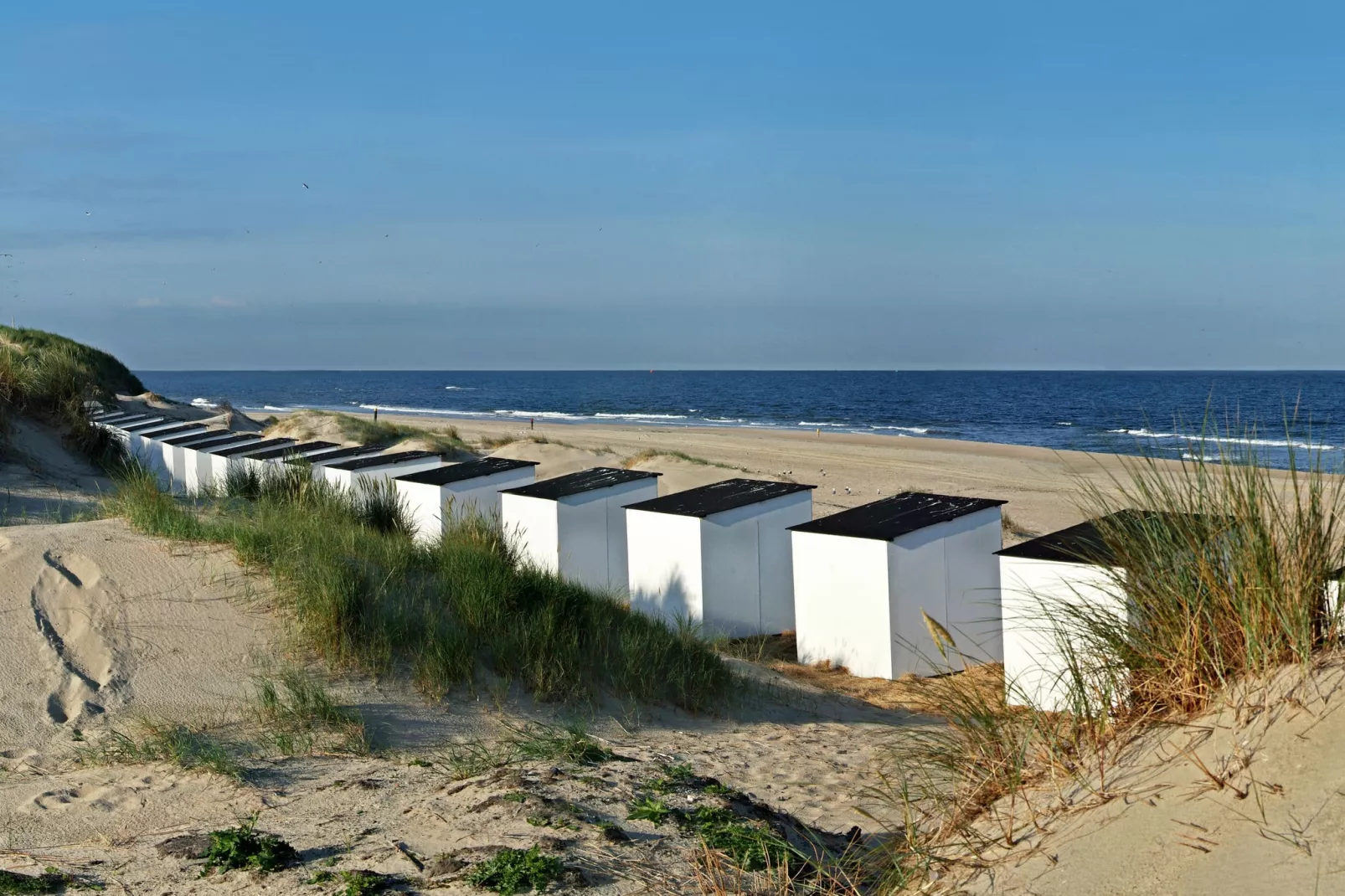 Villa  Hoogelandt 10-Areas summer 5km