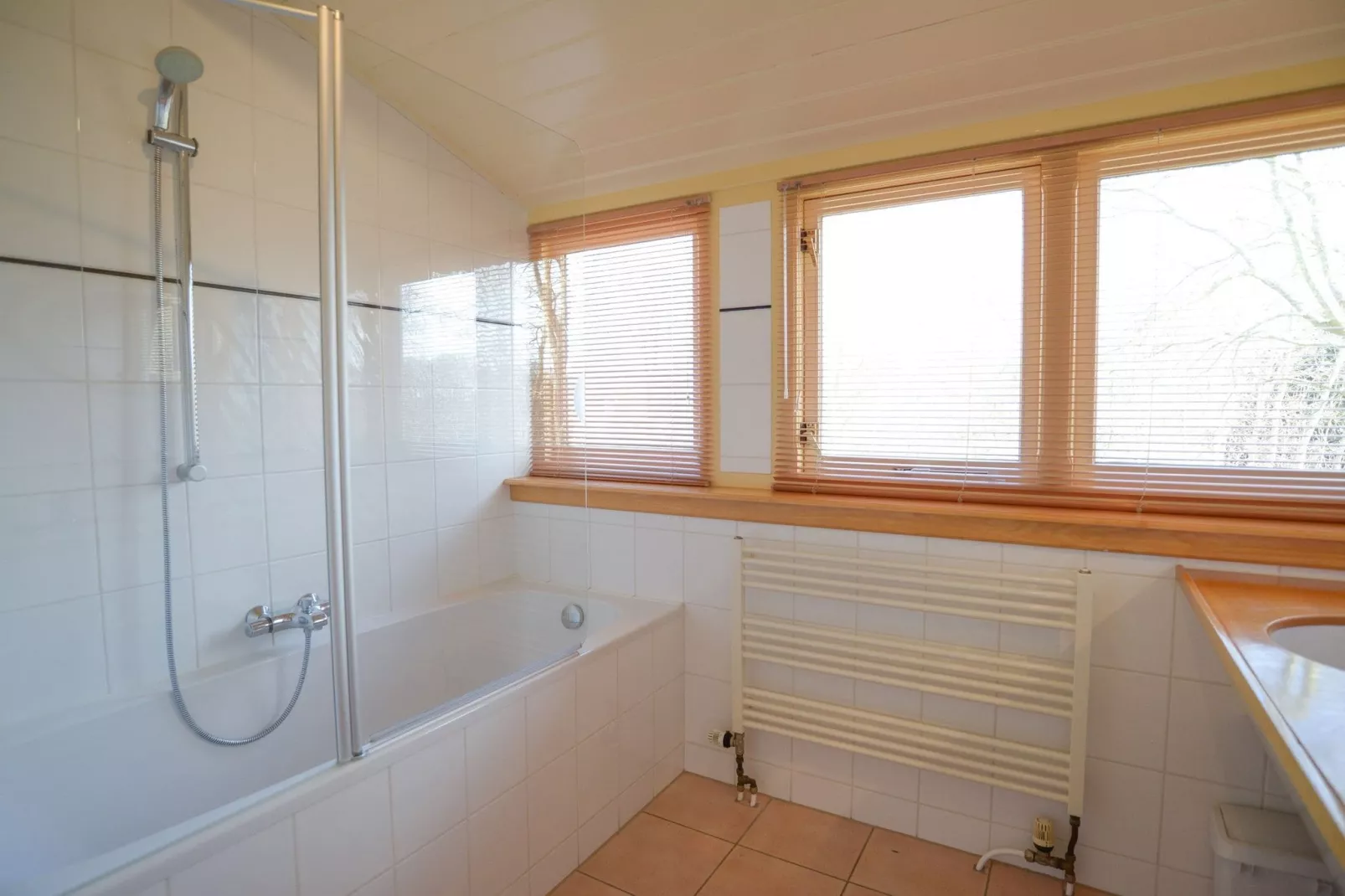 De Ransuil-Bathroom