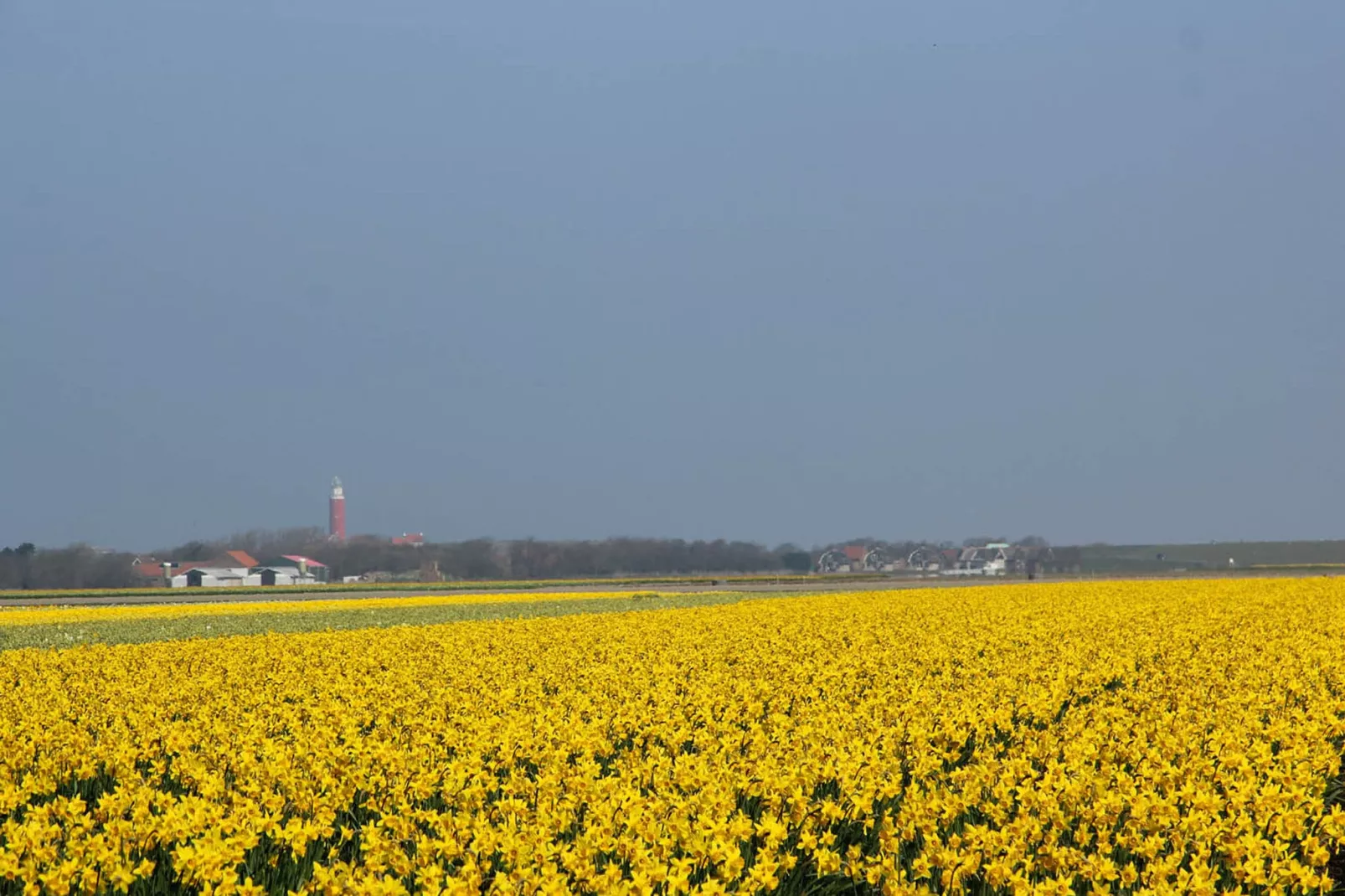 De Ransuil-Areas summer 20km