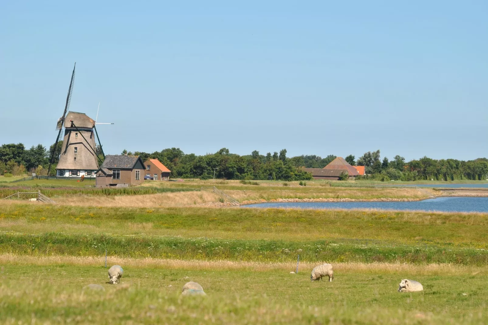 Florijn 1-View summer