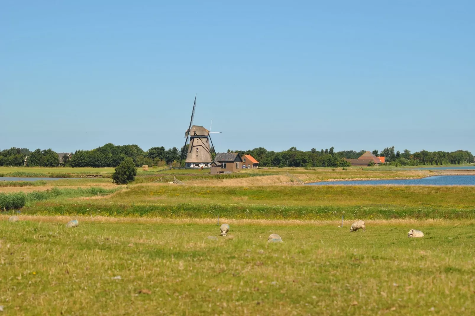 Florijn 1-Areas summer 1km