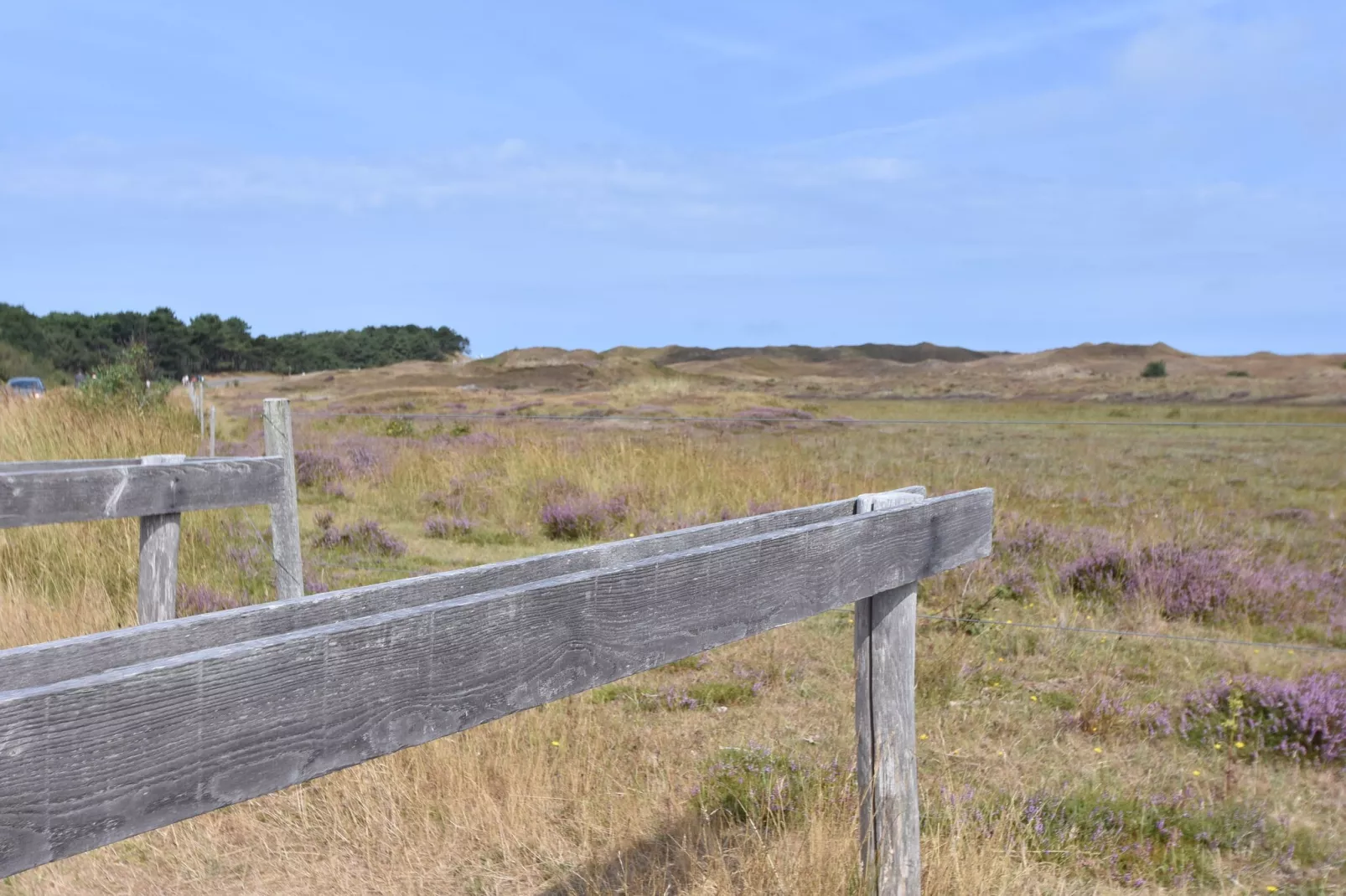 Florijn 1-Areas summer 5km