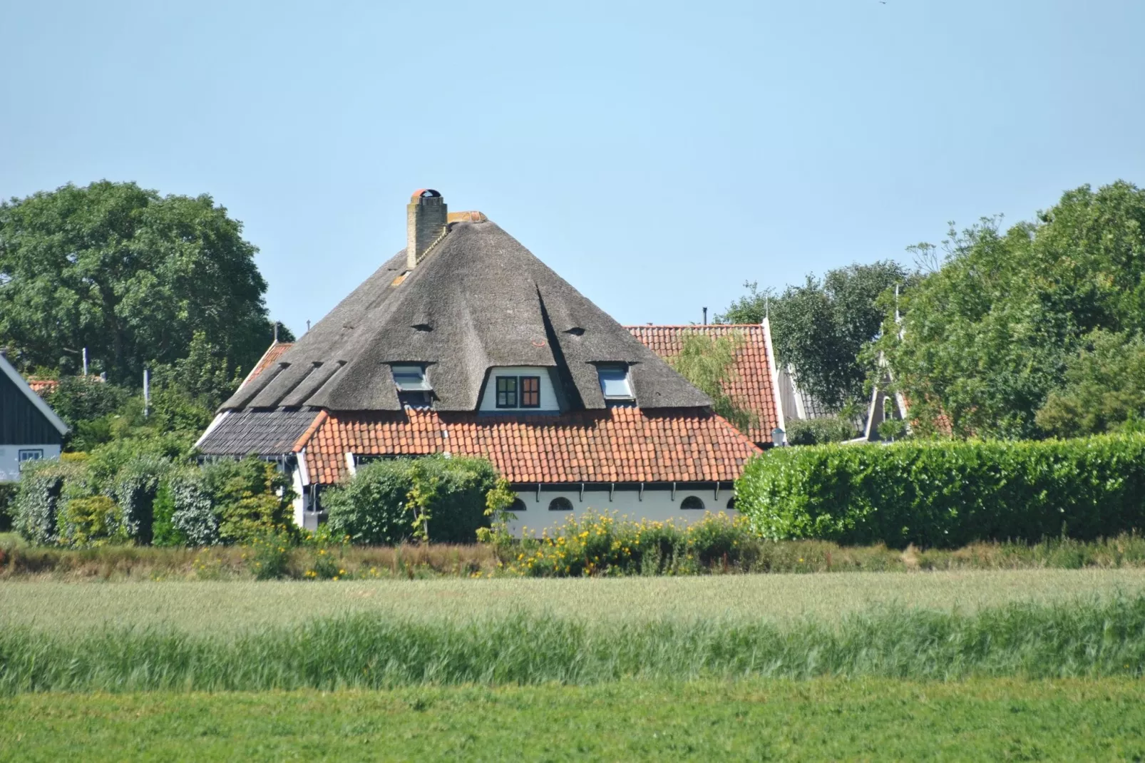 Florijn 4-Exterior summer