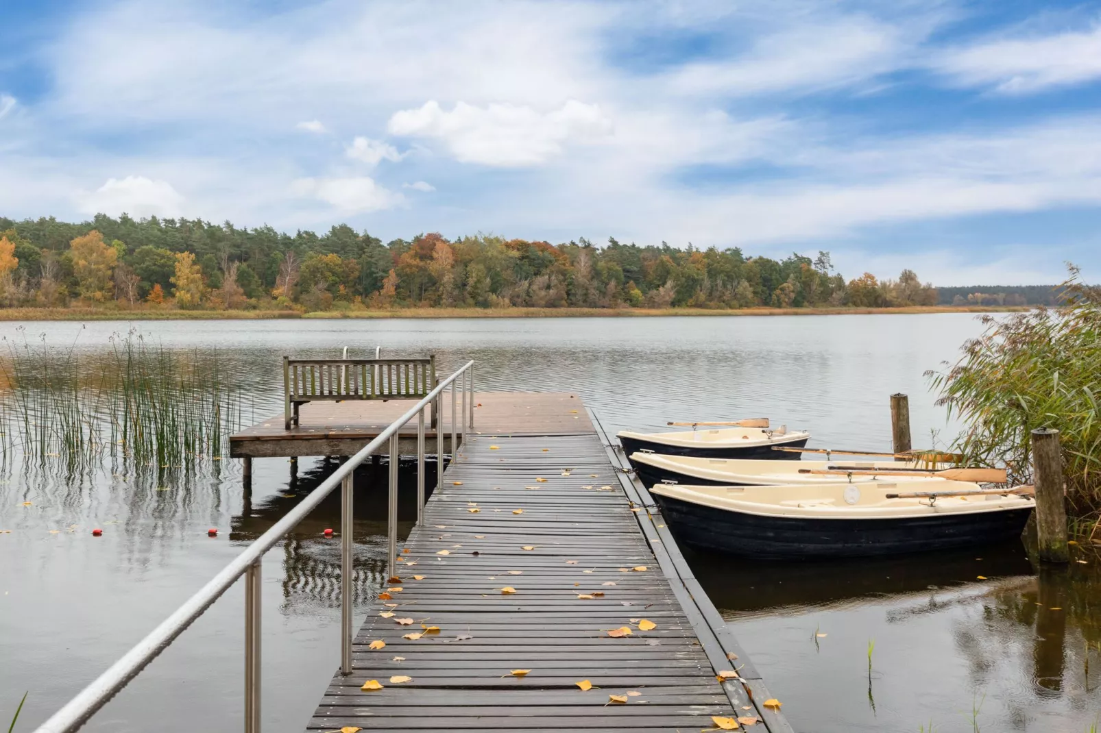 Hundefreundliches Ferienhaus am See MIT Whirlpool-Areas summer 1km