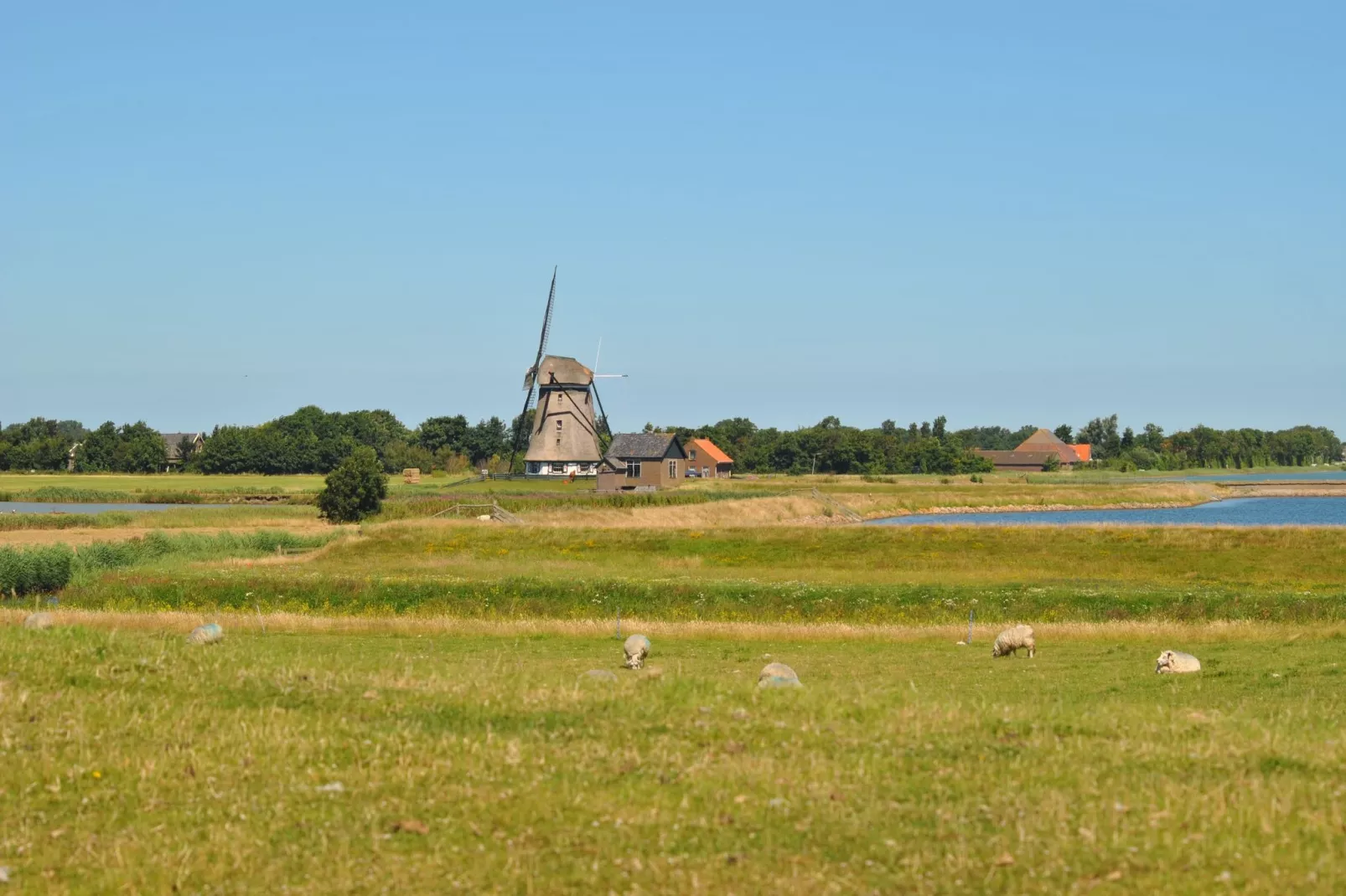 Florijn 4-Areas summer 1km