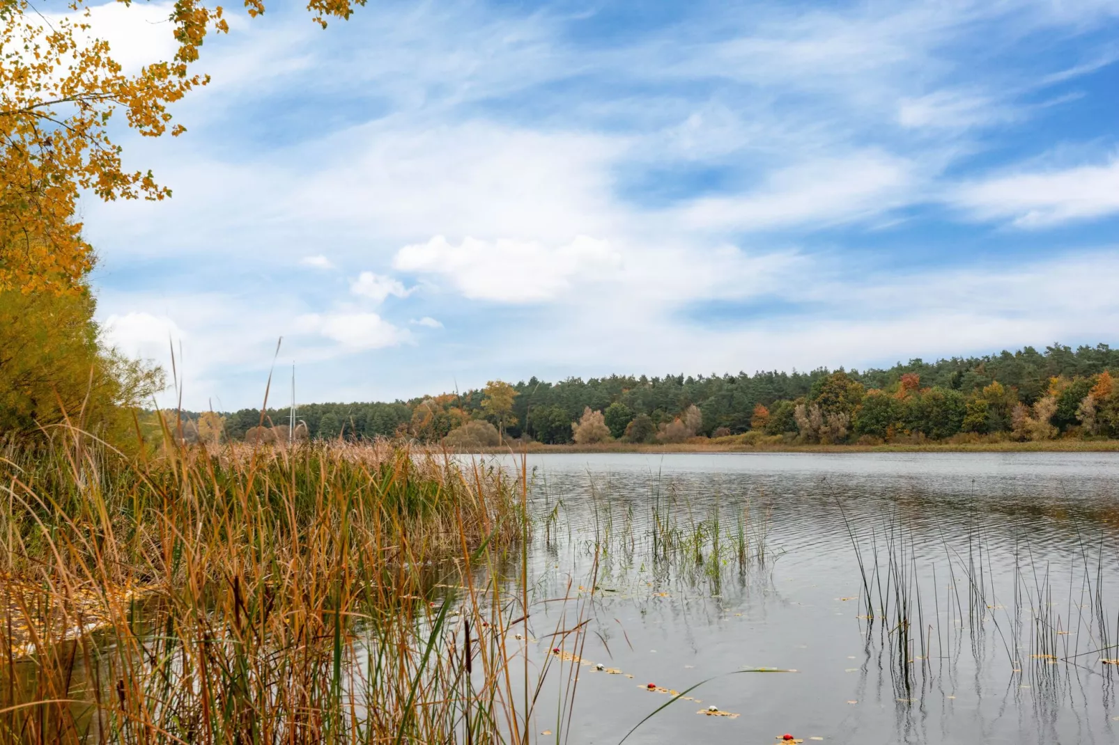 Hundefreundliches Ferienhaus am See MIT Whirlpool-Areas summer 1km