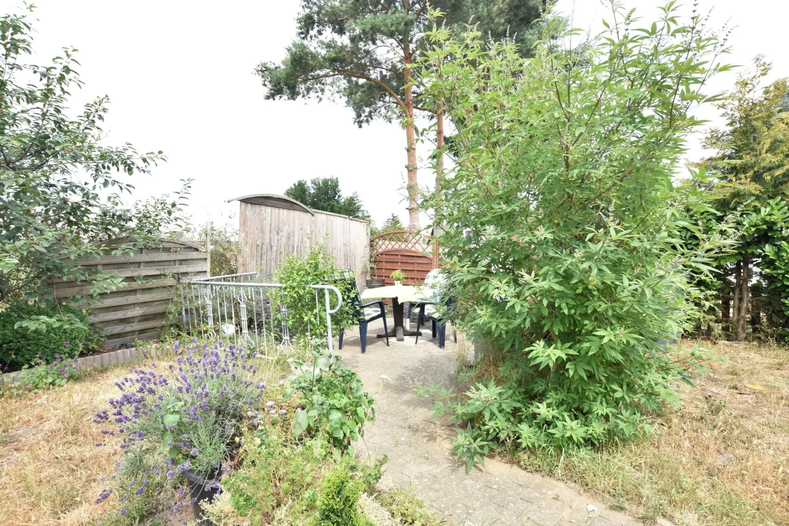 Hundefreundliches Ferienhaus am See MIT Whirlpool-Gardens summer
