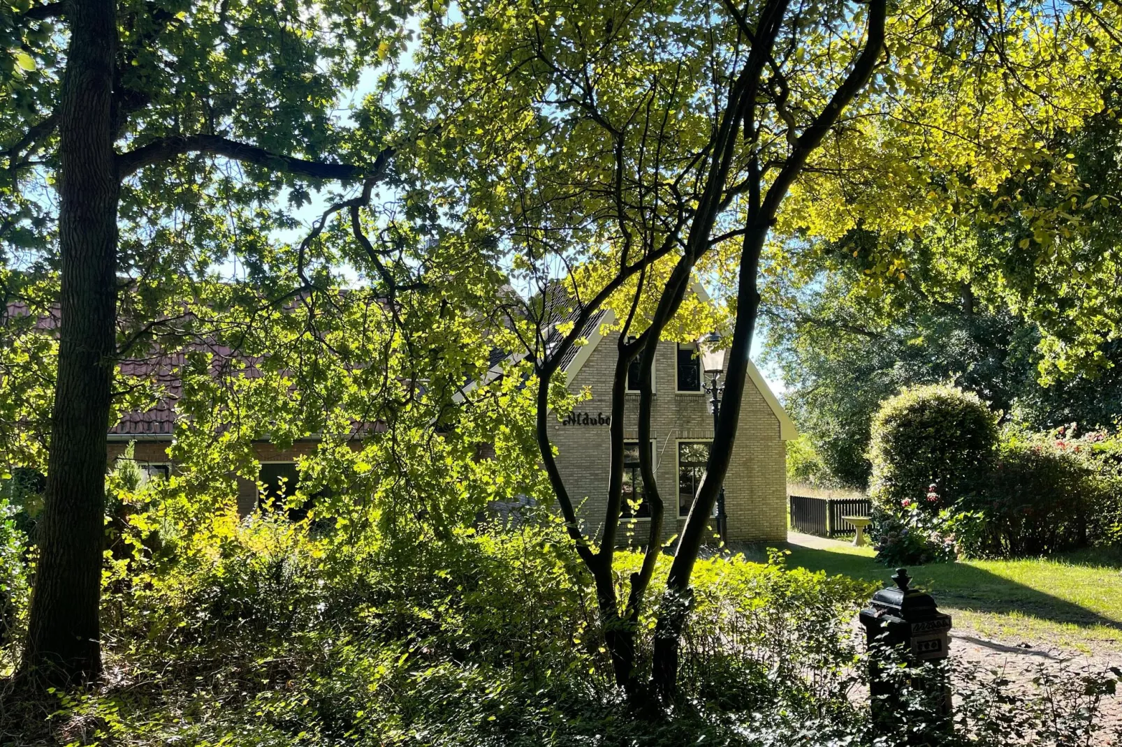 Aldubo-Gardens summer